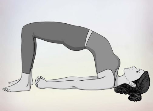 setu bandha sarvangasana