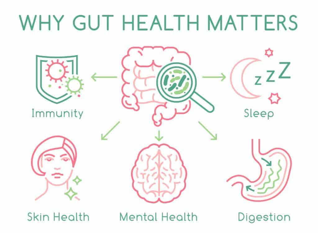 Infographic showing the benefits of a healthy gut microbiome.